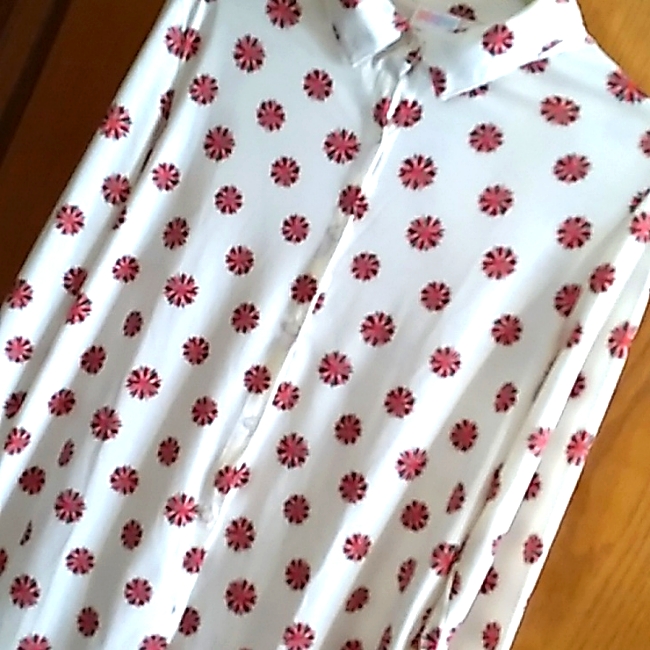 Valentina Button Down.